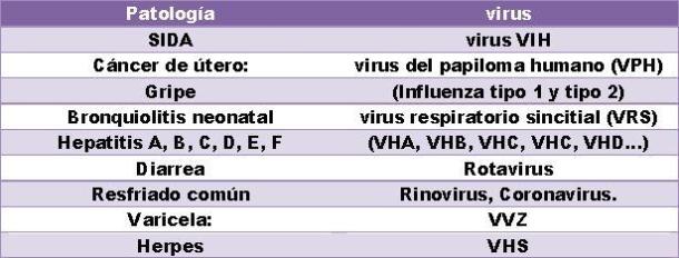 Virus y su respectiva enfermedad.